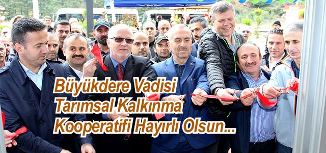 Arıcılar Çayeli-Madenli’de ‘Kalkınma Kooperatifi’ kurdu