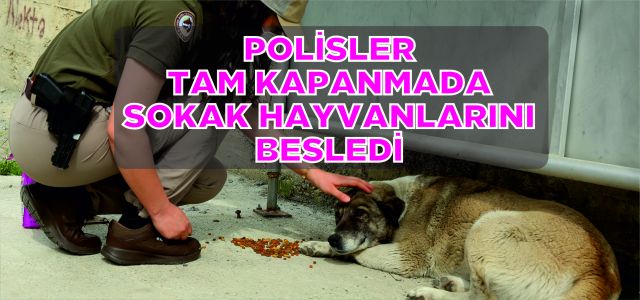Artvin'de polisler tam kapanmada sokak hayvanlarını besledi