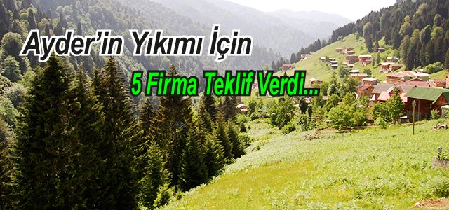 Ayder İçin 5 firma Teklif Verdi