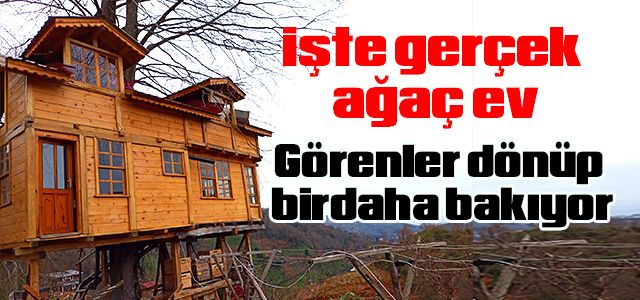 Bu evin ortasında her yıl büyüyen bir Ağaç var