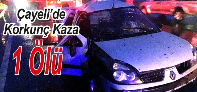 Çayeli’de Trafik Kazası: 1 Ölü