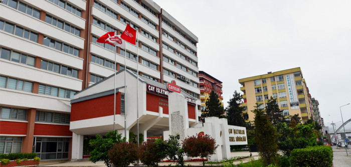 ÇAYKUR birinci sürgün döneminde 213 bin ton yaş çay aldı