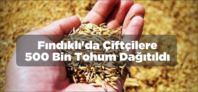 Fındıklı'da çiftçilere 500 bin tohum dağıtıldı