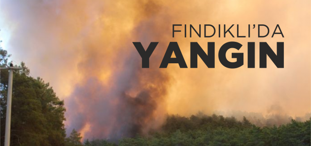 Fındıklı'nın Çağlayan Köyü'nde örtü yangınının sıçradığı ev kullanılamaz hale geldi