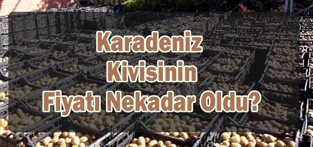 Rize Fındıklı Ziraat Odası 2020 Kivi Fiyatını Açıkladı