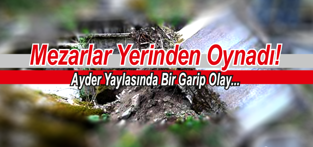 Yıkılan Ağaçlar Mezarlara Zarar Verdi